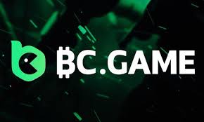 Exploring the Dynamic Features of BC.Game Platform Exploring the Dynamic Features of BC.Game Platform
