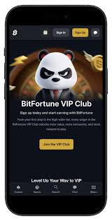 Bitfortune A New Era for Live Casino Enthusiasts