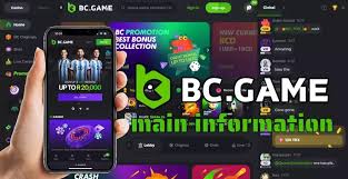 Understanding BC.Game Deposits A Comprehensive Guide 618872457