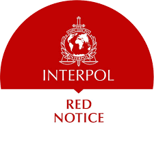 Understanding the Role of Interpol Defense Lawyers 1343446223