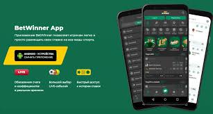 BetWinner Predictions Your Guide to Smart Betting Tips