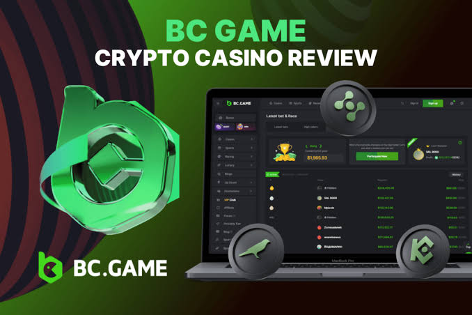 How to Download the BC.Game A Step-by-Step Guide -191367760